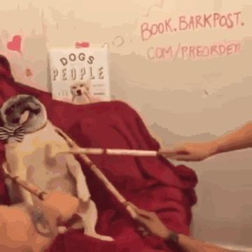 本科就业率最低的十大专业,就业率最差的十个专业专科