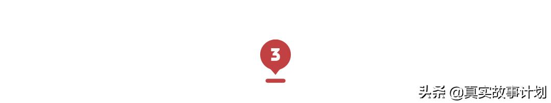 养猫真实故事,负债养猫的真实事例