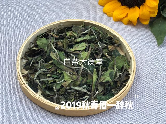 为白茶中的茶梗平反，虽然不好看，对滋味却大有贡献