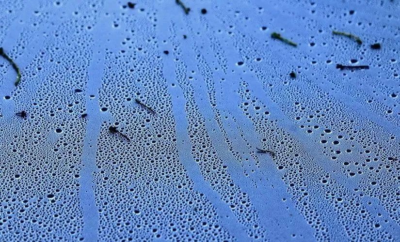 生存小技巧钻木取火,荒野生存取水技巧