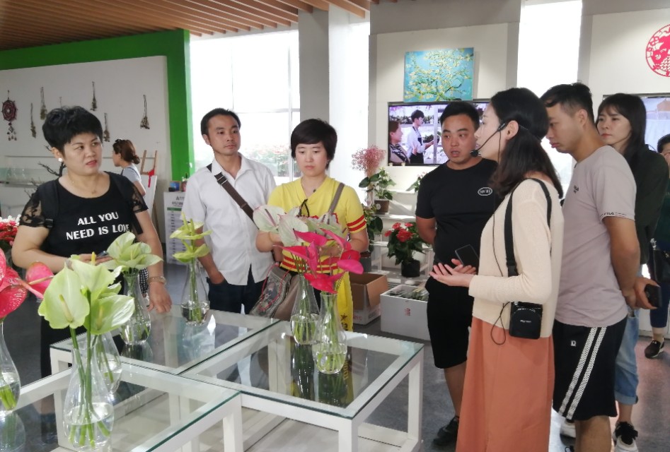 第二十届中原花木博会鄢陵,第九届中国花卉博览会倒计时