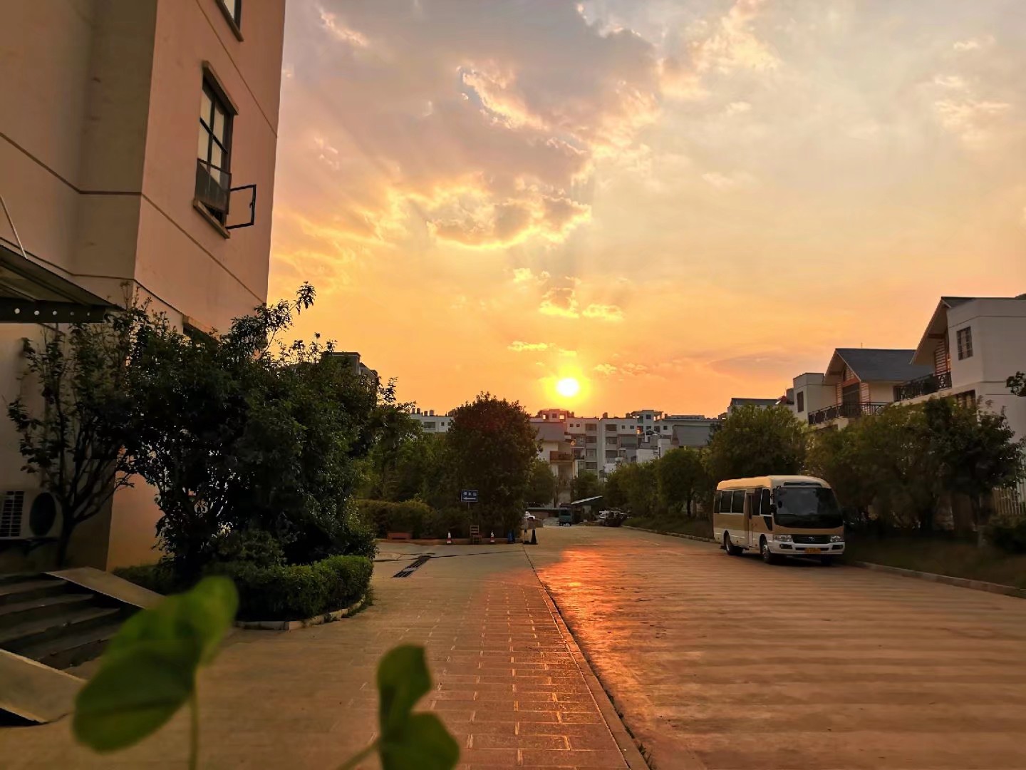 为什么蚊子只咬一些人,为什么同在一间房蚊子只咬某个人