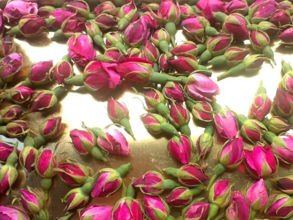 教你如何避开假货买到真品,一张图告诉你怎样分辨假货