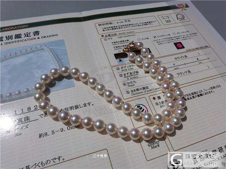 日本珍珠akoya,日本珍珠akoya多少一颗