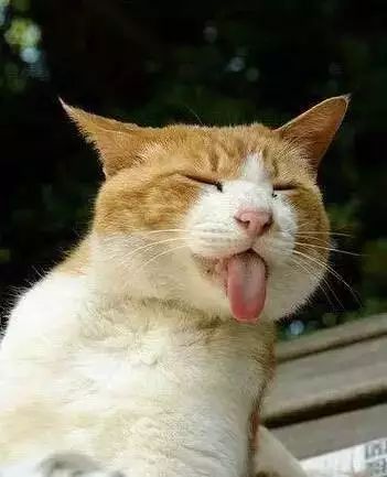 顺德的人性格特点,顺德人的素质和特点