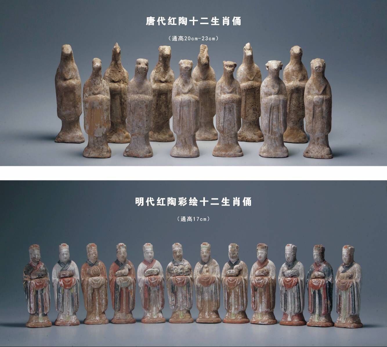 晨看*疆新**｜*疆新**已有35家医疗机构被取消定点资格，十二生肖*物文**乌市博物馆开展