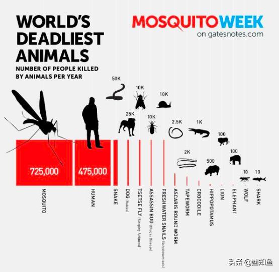 石墨烯能让人在蚊子面前“隐形”?高科技材料功能太强大