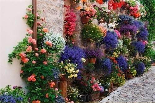 这是我做过最美的梦——吉维尼小镇