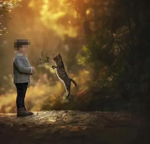 用绳栓猫头抛猫拽猫!还称自己爱猫?求求你做个人吧!