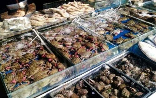 2018秦皇岛本地人吃海鲜的地方,秦皇岛吃海鲜的最佳去处