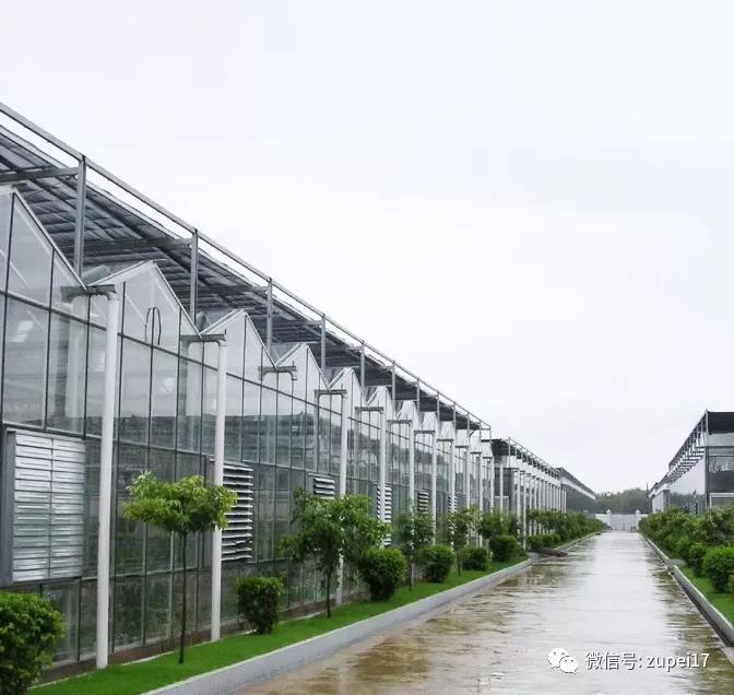 小型温室大棚用什么样的大棚,塑料大棚对比玻璃大棚