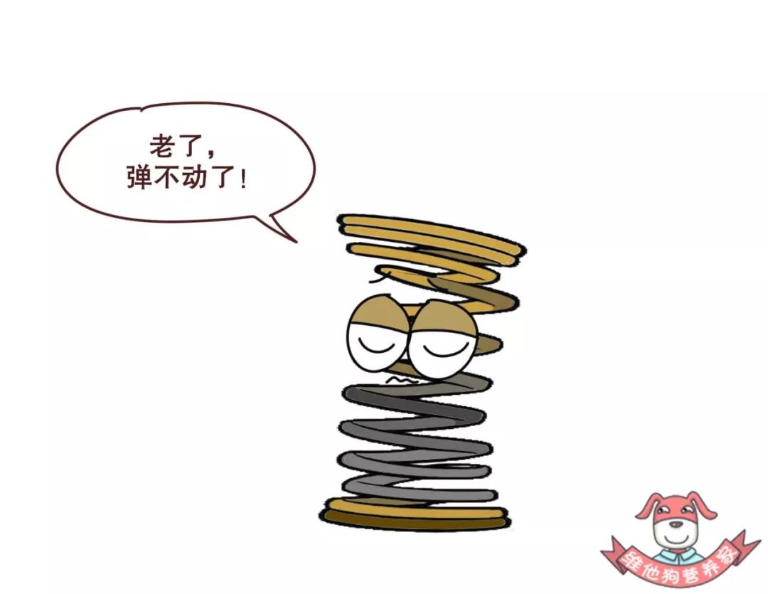 不做医美不打针，如何拥有紧致光滑的肌肤？原来这些食物就可以