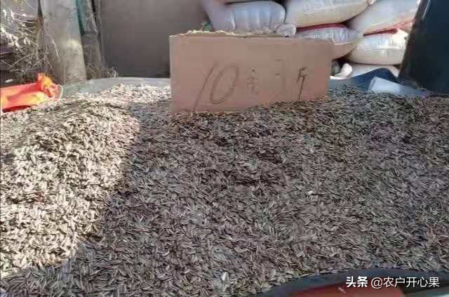 冬季赶农村大集卖什么最挣钱,农村大集什么最赚钱