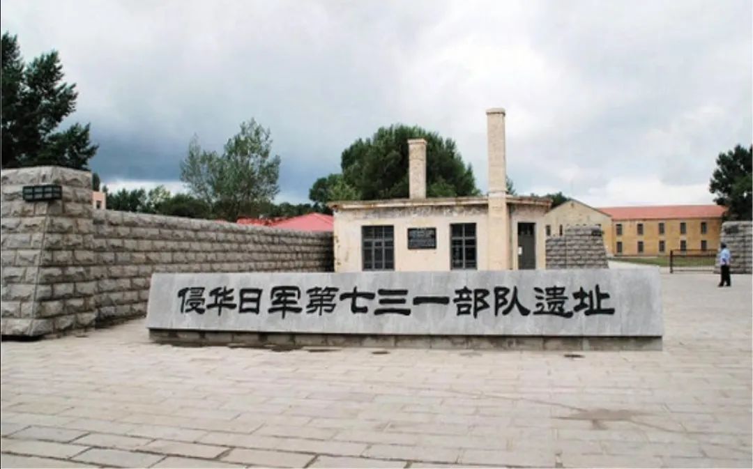 那些年我们一起看的经典电影,那些年我们一起看过的动画