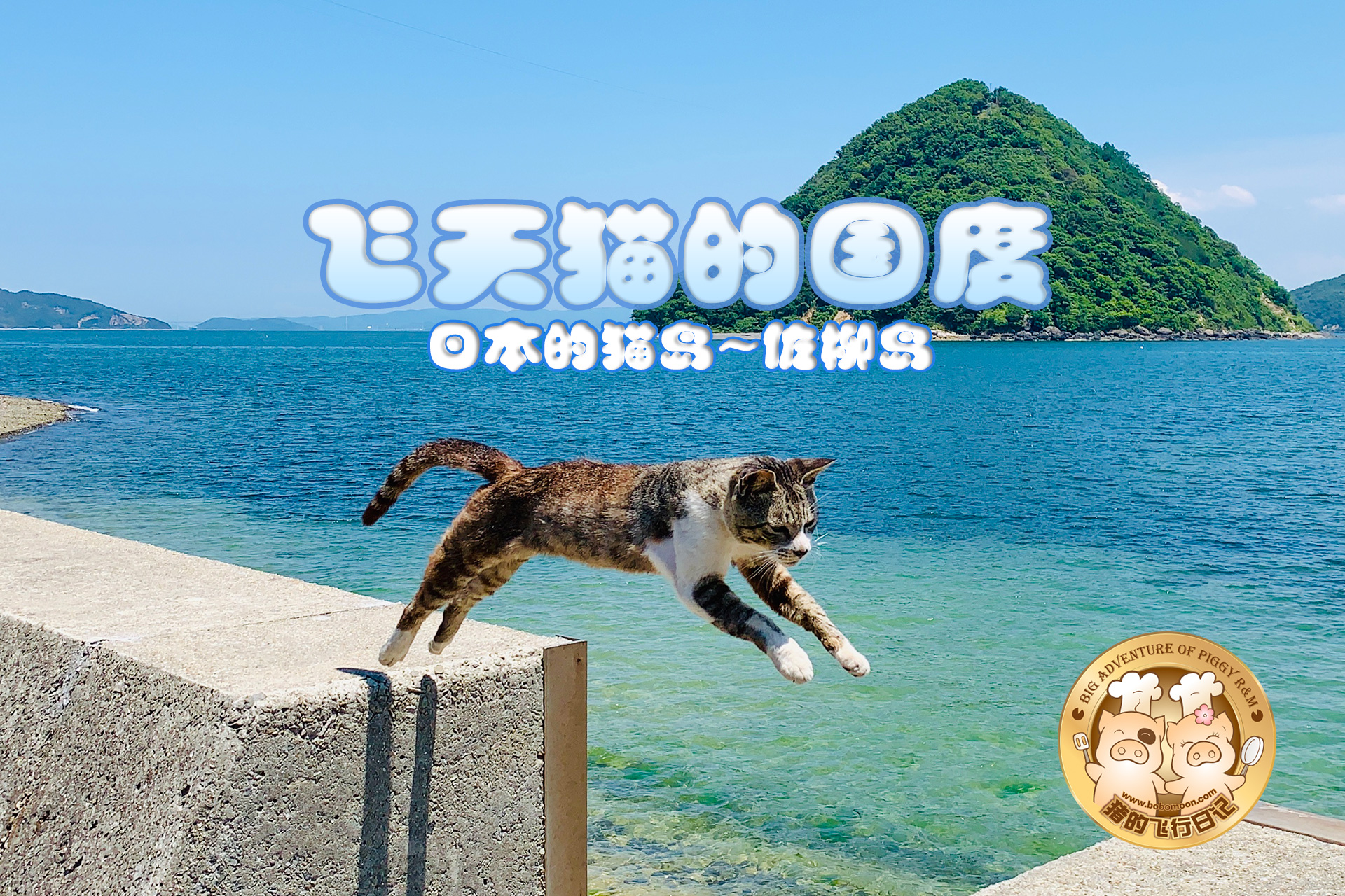 被铲屎官惊到的喵星人,让铲屎官瑟瑟发抖的喵星人