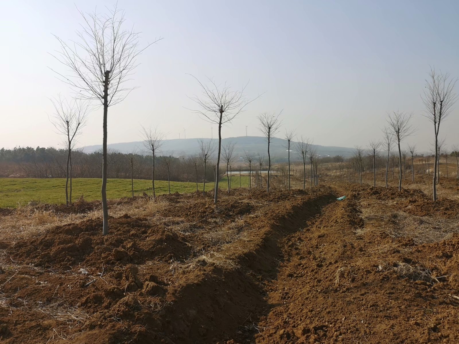 摩托周边打卡,摩托打卡地安徽