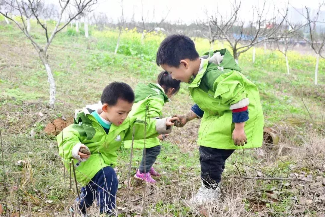 自然教育游学营首发,坐标北京溪谷森林,让孩子长成最好的自己