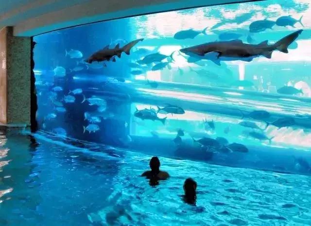 原来贫穷不但会限制我们的想象力,为什么亿万富翁都在省钱