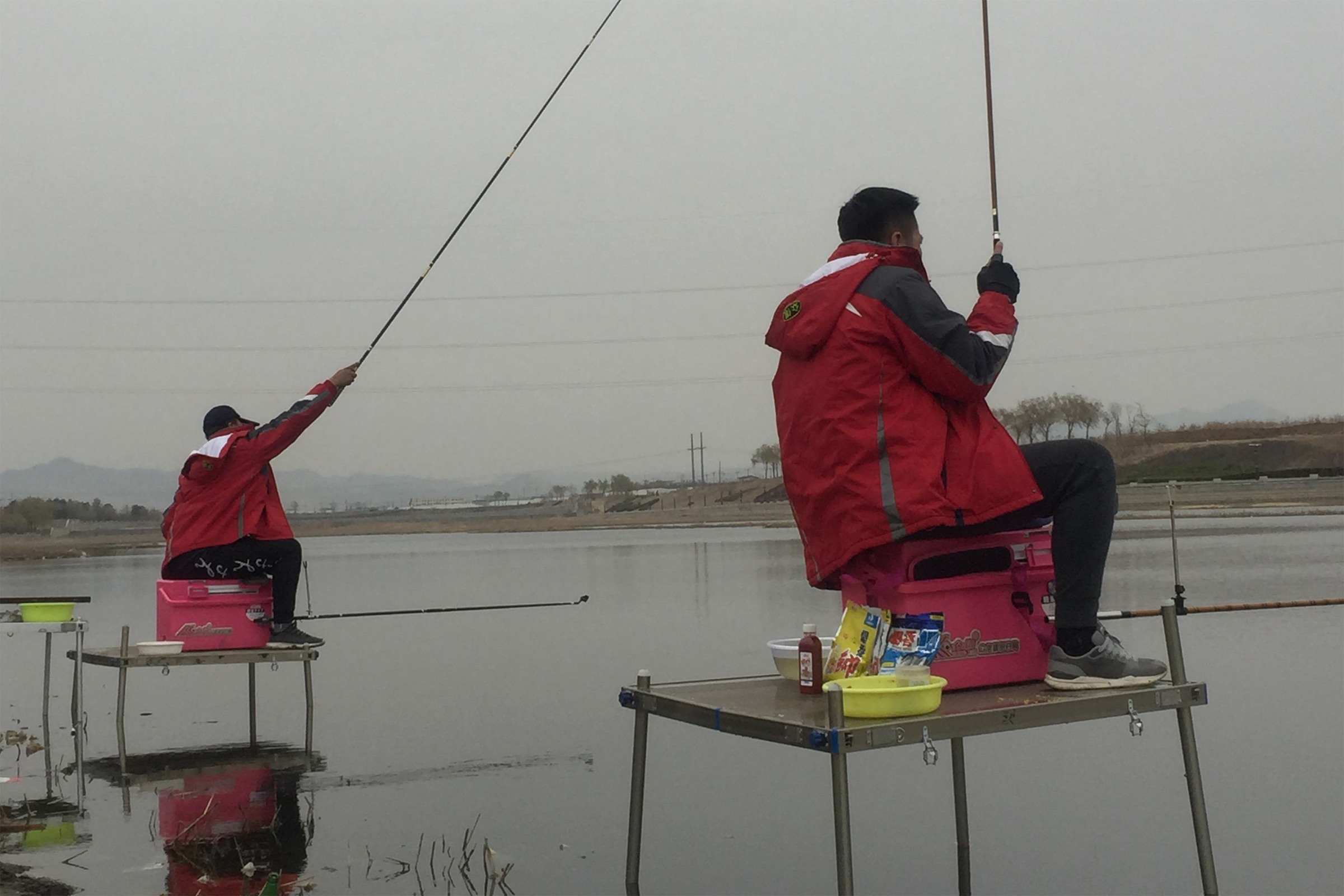 野钓鲤鱼怎么调钓防止跑鱼,为什么钓鲤鱼老是切线