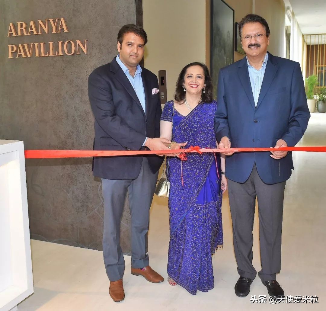 碧昂斯演唱会值得去吗,碧昂丝演唱会票价