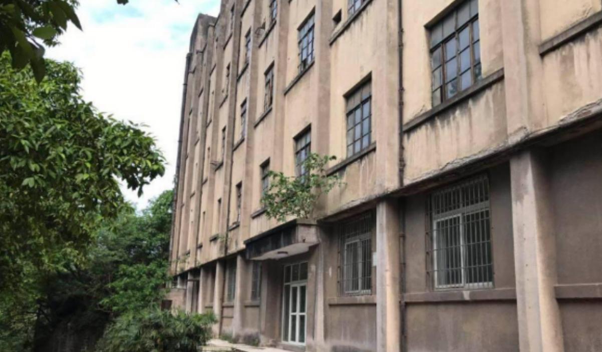 东北二王杀人案1983,东北二王特大杀人案