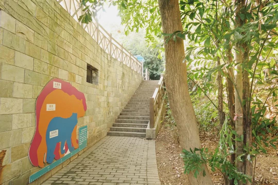 在动物园散步才是正经事|暴走福州