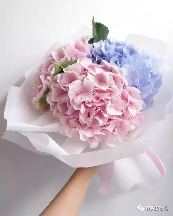 母亲节送什么花比较实用,母亲节送什么花合适呢