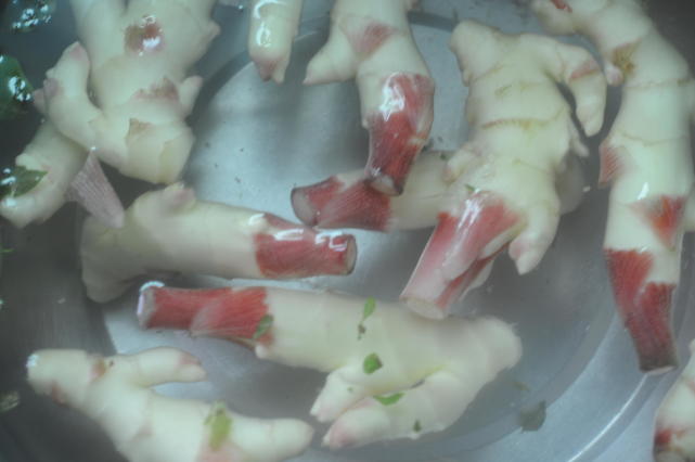 伏天吃姜怎么吃效果好,入伏怎么吃姜更有营养