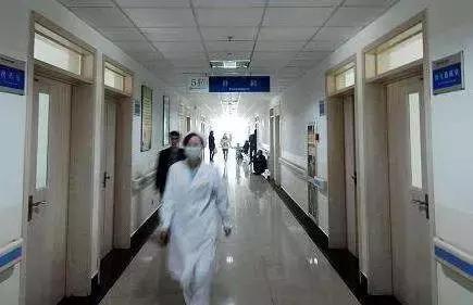 河南“水果猎人”走遍东南亚雨林,吃过600多种水果;月球上长出第一株绿芽,种子培育来自安阳丨大河早新闻