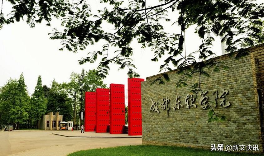 成都世警会开幕式,2019成都世警会开幕式