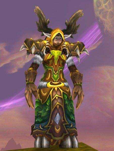 魔兽世界德鲁伊t1t2搭配,魔兽世界怀旧服tbc德鲁伊学习形态