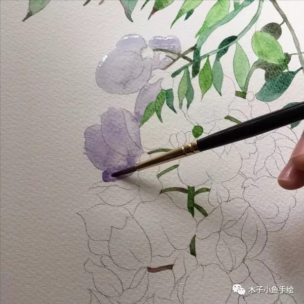 紫藤花水墨教程,紫藤花水粉画法步骤图