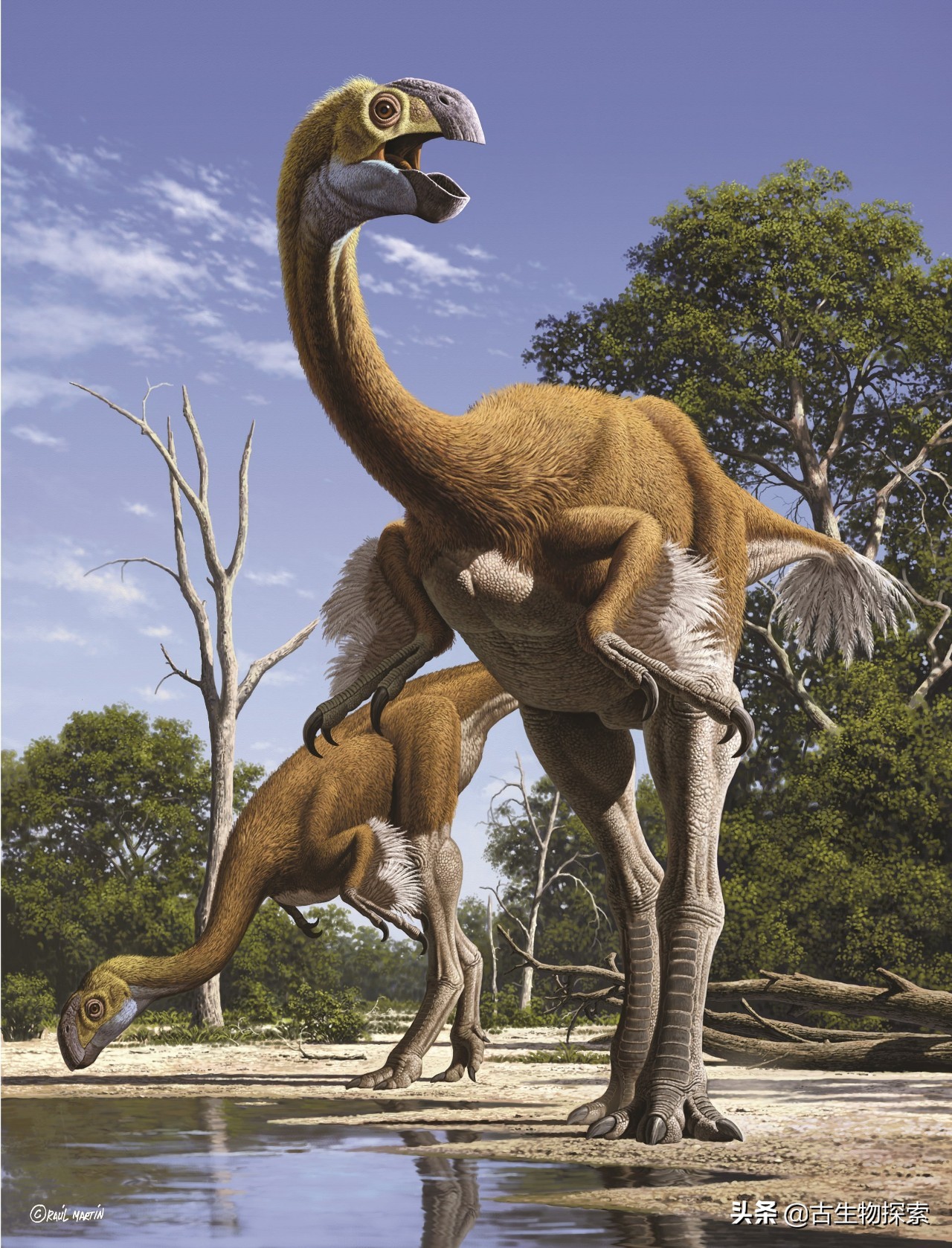 恐龙能不能复活,怎么让真的恐龙复活