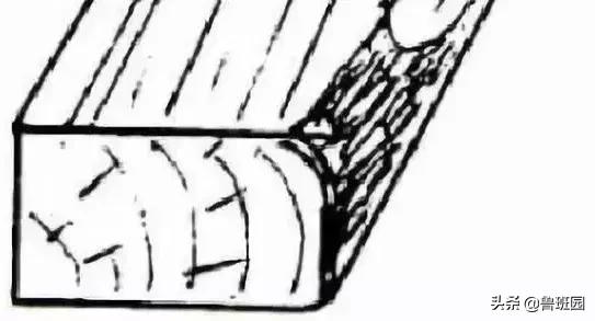 木材的主要缺陷,木材缺陷有哪些