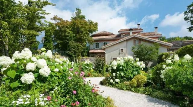 日本箱根温泉度假胜地,日本京都温泉之旅