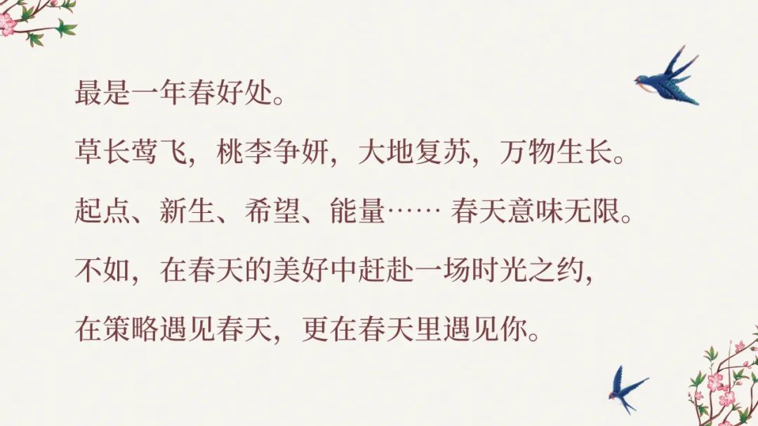 策略全国招聘|等闲识得东风面，吾诚邀汝共春晖