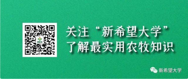 仔猪副猪病症状有哪些,哺乳仔猪副猪嗜血杆菌怎么治