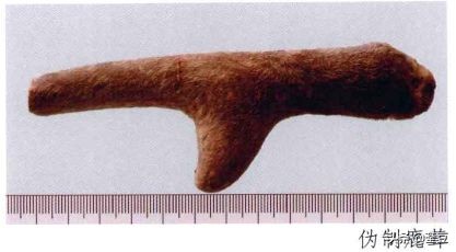鹿茸造假事件,鹿茸造假手段有哪些