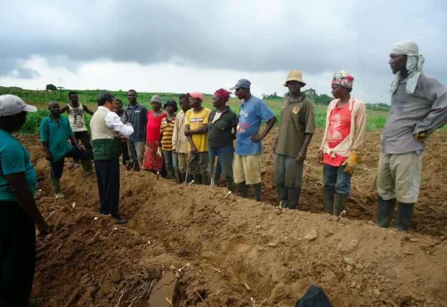 大量华人奔赴非洲，并表示过得太舒服，这到底是为啥？