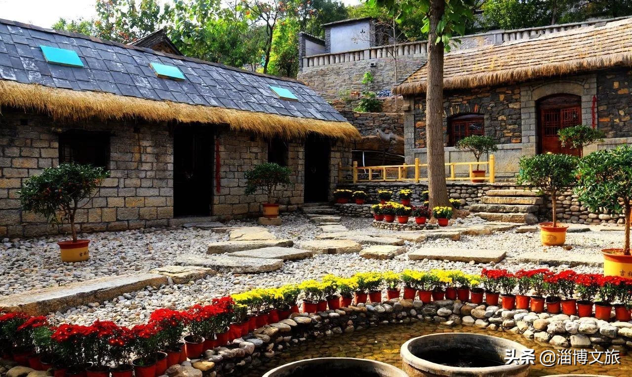 山东淄博田庄德禄民宿,淄博半山杏舍山居民宿