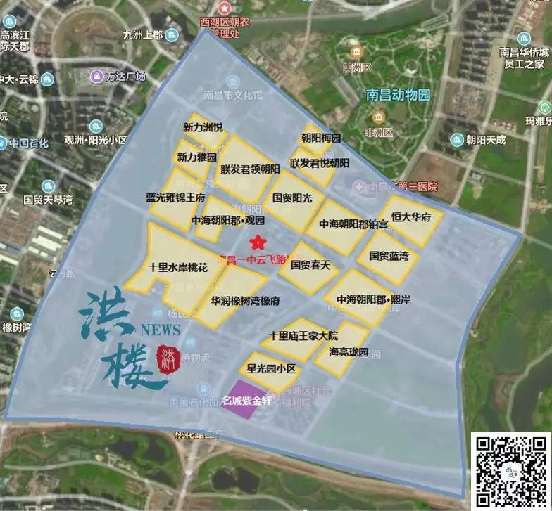 必看！朝阳+九龙湖学区全整理！黄金双区购房必备指南