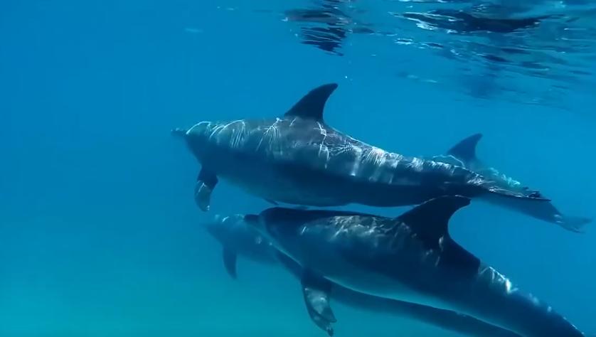 人造子宫实现让人类复活,人类能接受人造子宫吗