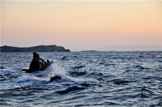初恋找我复合,初恋找我复合要不要再勇敢一次
