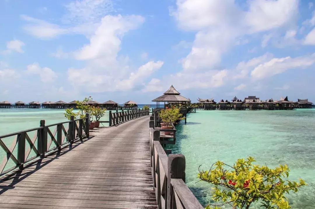 出境游报告最新,出境游细则