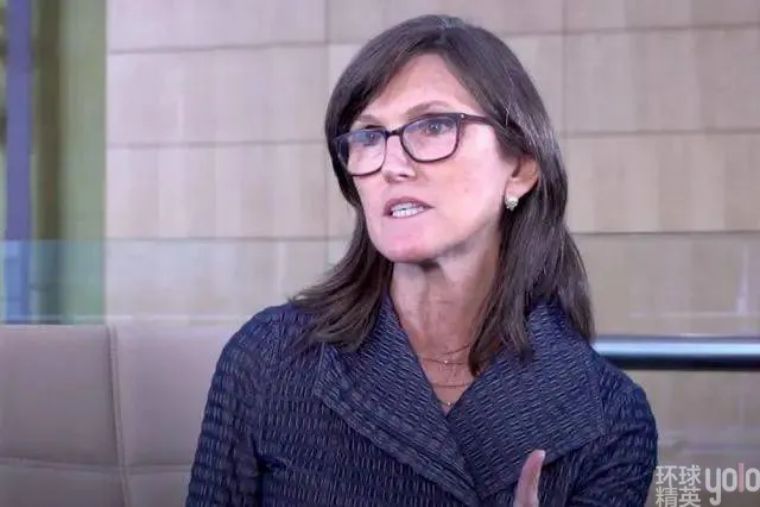 凯瑟琳巴菲特视频,女版巴菲特投资项目