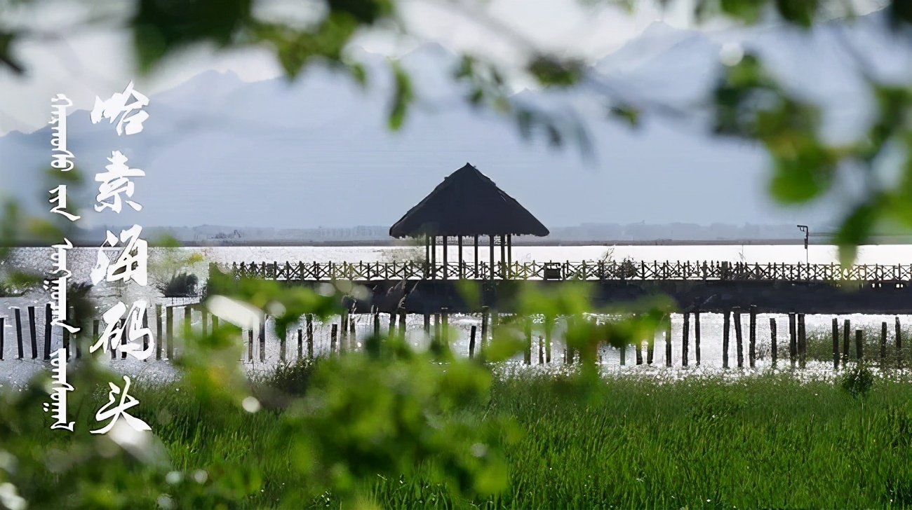 内蒙古一处4*级A**景区，风景秀丽媲美西湖，被誉为“塞外西湖”