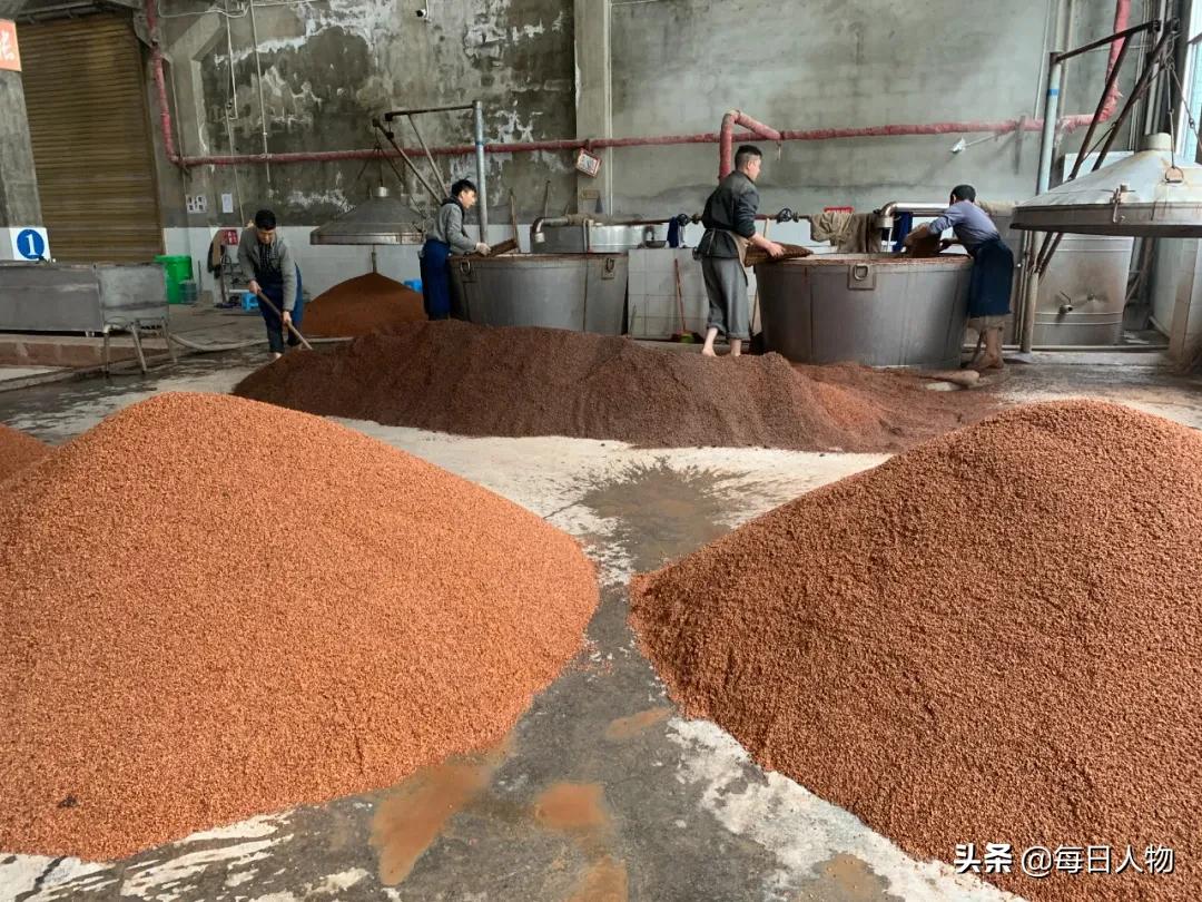 挣得比大厂多，把人生泡在酒里，那些不想离开茅台镇的年轻人