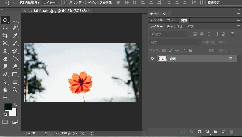 非常全面实用的100条ps操作小技巧,你不知道的ps10个小技巧