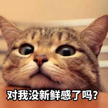 所谓感觉,女生的感觉是什么意思