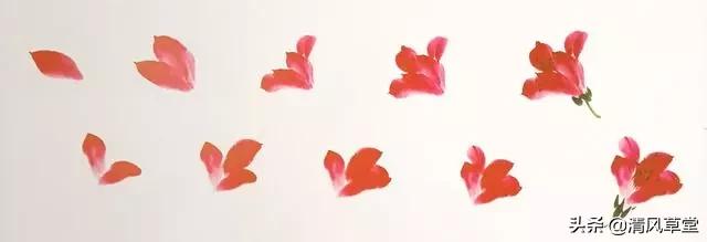 少儿国画花卉画法视频,各种花卉的100种画法